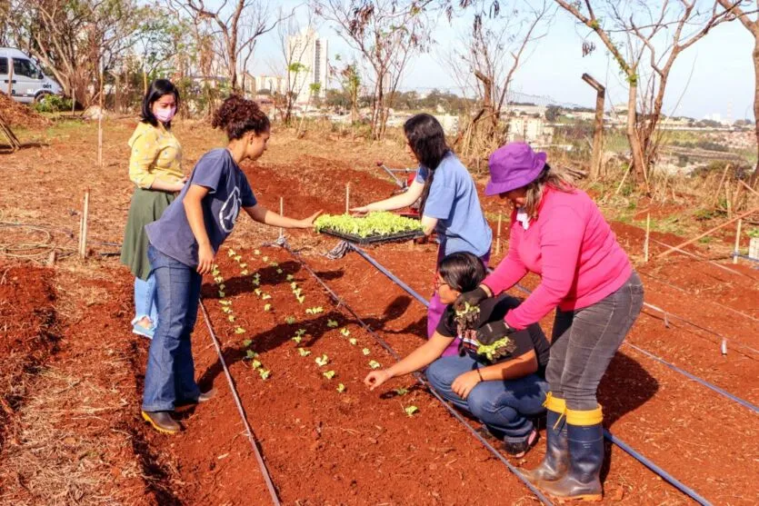 Apucarana: terreno no Centro Social Urbano ganha horta solidária