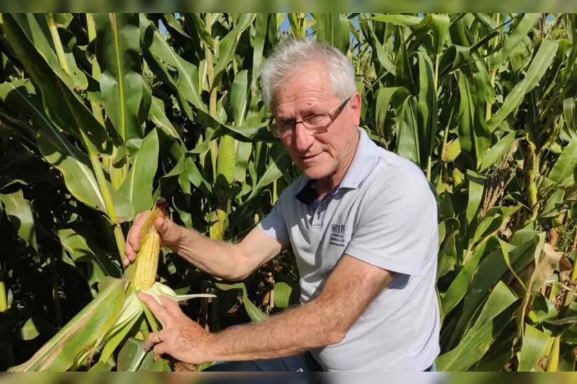  Engenheiro agrônomo Sérgio Carlos Empinotti, do Deral da regional de Ivaiporã 