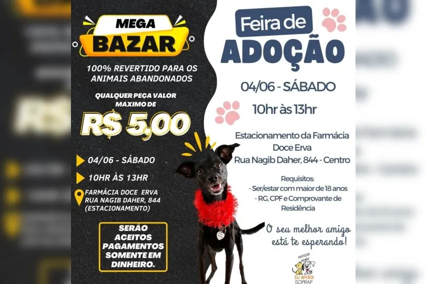 Feira de adoção será realizada no sábado em Apucarana