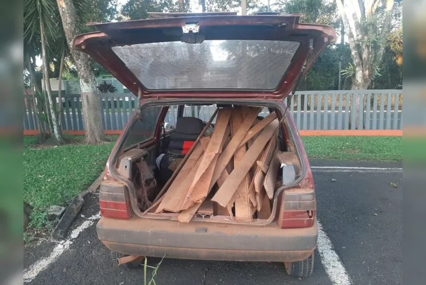 Homem é preso ao roubar assoalho de escola abandonada no Xaxim