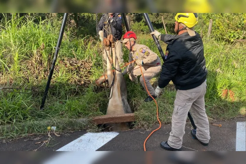  Os Bombeiros foram para o local com os equipamentos 