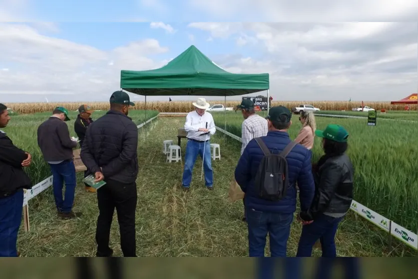  A atividade, que segue até sexta-feira (15), é o maior evento do setor agropecuário realizado em uma propriedade rural 