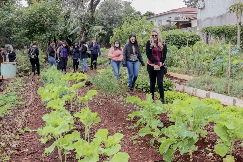 Alunos da Unespar conhecem Programa Municipal de Hortas Solidárias