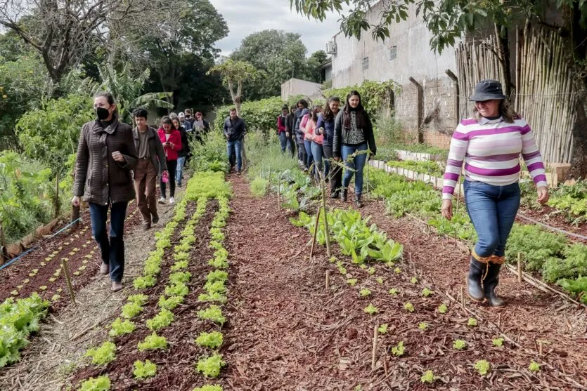 Alunos da Unespar conhecem Programa Municipal de Hortas Solidárias