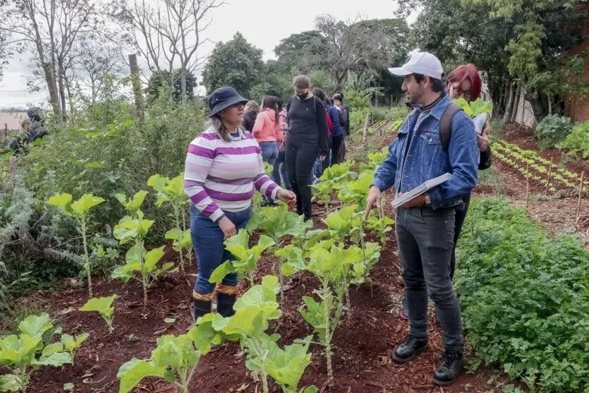 Alunos da Unespar conhecem Programa Municipal de Hortas Solidárias