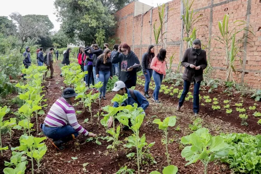 Alunos da Unespar conhecem Programa Municipal de Hortas Solidárias