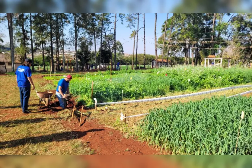  Alunos durante atividade na propriedade do colégio, que tem 95 hectares 