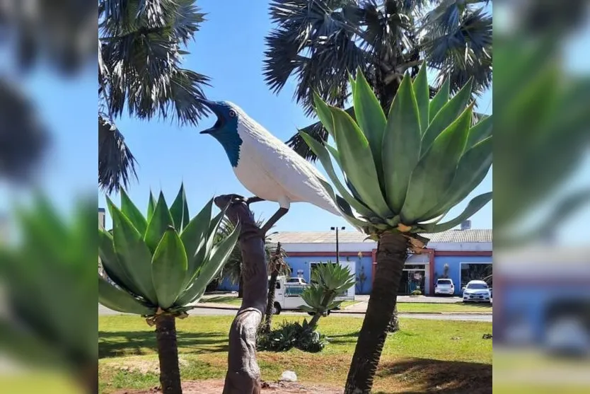  Araponga na rotatória no prolongamento da Av. Arapongas 