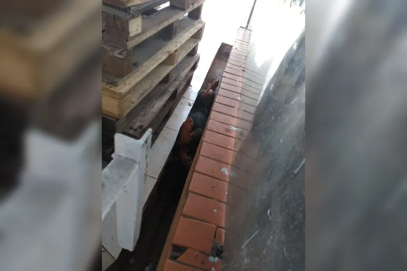  Como o morador da residência não estava, a equipe precisou trabalhar pelo lado de fora do portão. 