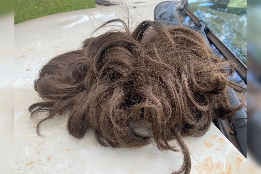  Depois, os ladrões foram até a outra casa que fica na propriedade e renderam um idoso de 70 anos e os dois foram amarrados 