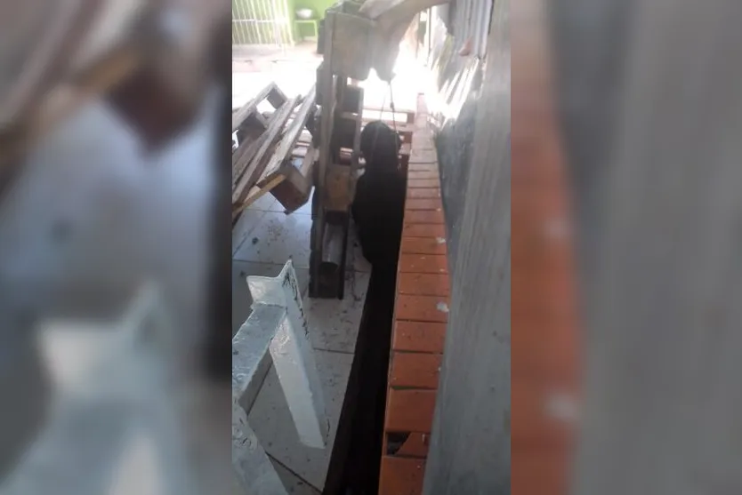  Equipes da Guarda Civil Municipal (GCM), do Centro Municipal de Saúde Animal (CEMSA) e dos Bombeiros foram acionadas 