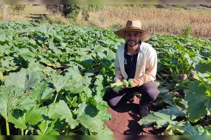  Herinton Rosa Pacheco produz tomate italiano, tomate cereja e abobrinha 