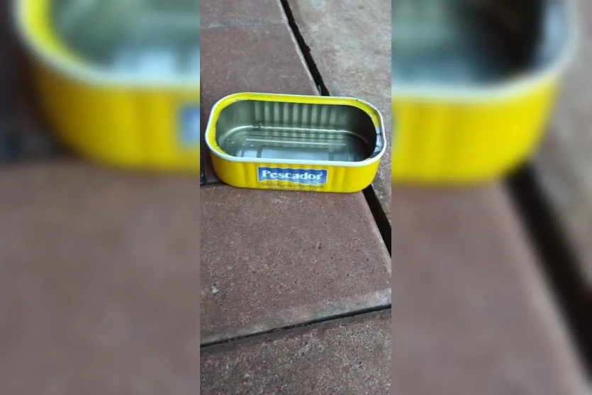  Lata de sardinha encontrada no quintal da casa após envenenamentos 