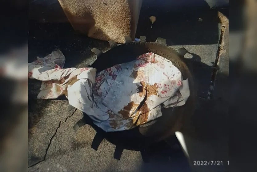 Mulher é presa por maus-tratos contra cadela prenha em Apucarana