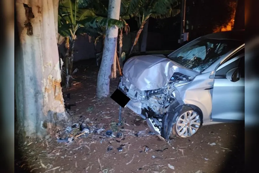  O carro bateu contra uma árvore no cruzamento das ruas Anu Coroca com Rua Andorinha do Rio 