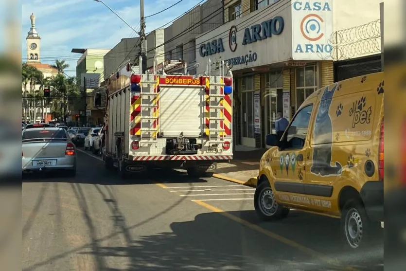  Um gato ficou preso em um banco, localizado na Avenida Curitiba no centro de Apucarana 
