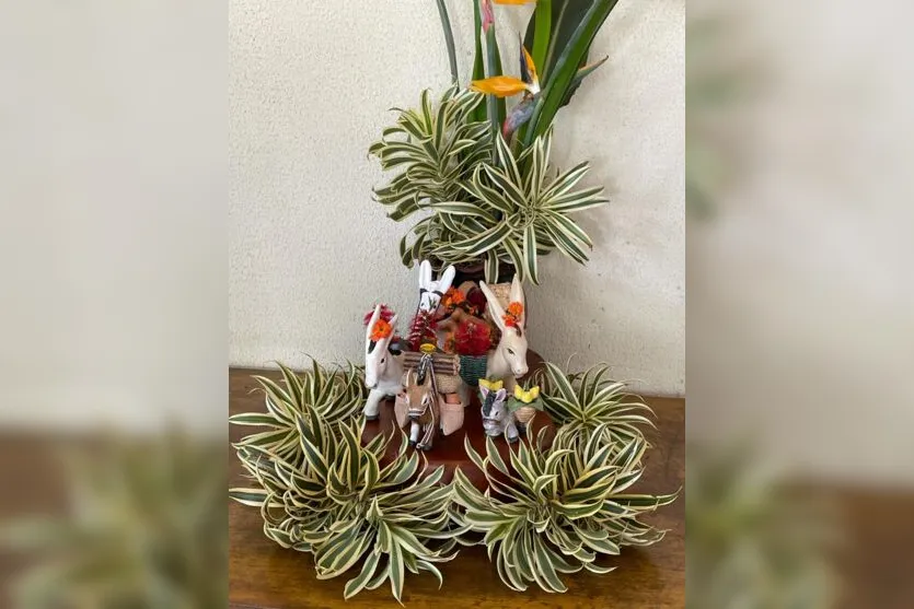  Os 'burrinhos' de carga são tradição na família 