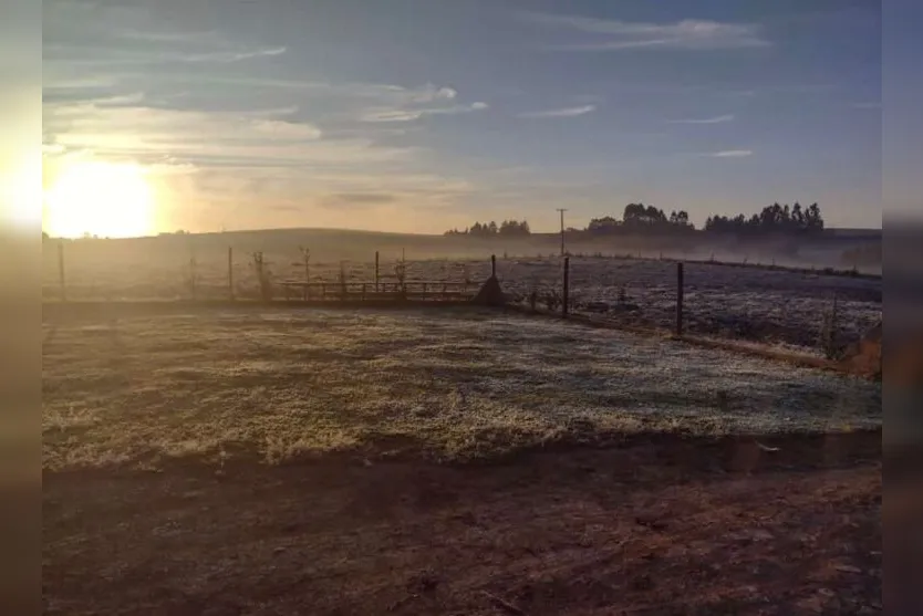  São Mateus do Sul teve as menores temperaturas -2,3ºC 