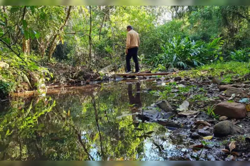 Apesar do frio, caminhada na natureza em Jardim Alegre é sucesso