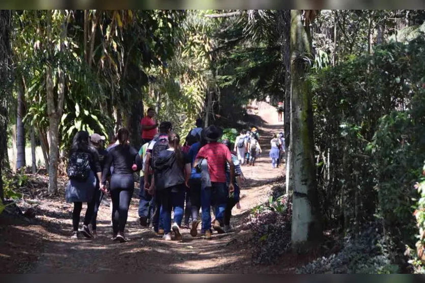 Apesar do frio, caminhada na natureza em Jardim Alegre é sucesso