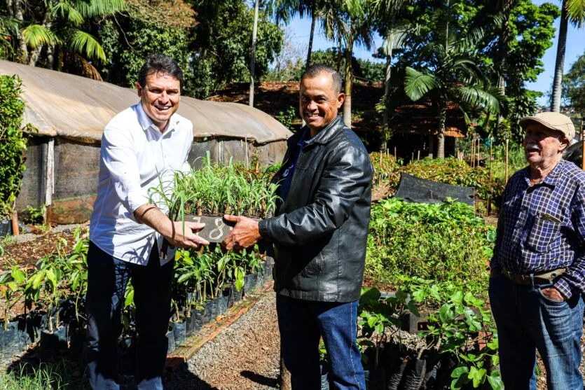 Apucarana: programa Terra Forte agrega apoio à pecuária leiteira