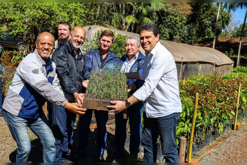 Apucarana: programa Terra Forte agrega apoio à pecuária leiteira