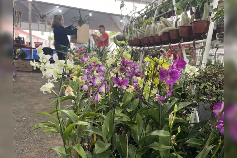  Empresa de floricultura e jardinagem também está presente na Festoque 