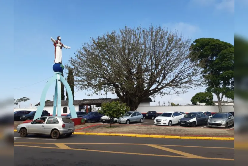  Figueira do Cemitério Cristo Rei pode estar morrendo 