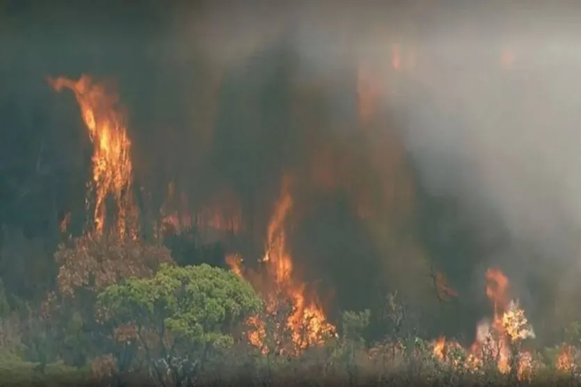 Incêndio de grandes proporções atinge Parque Nacional de Brasília