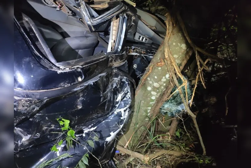 Motorista de caminhonete morre em acidente na PR-272, em Cruzmaltina