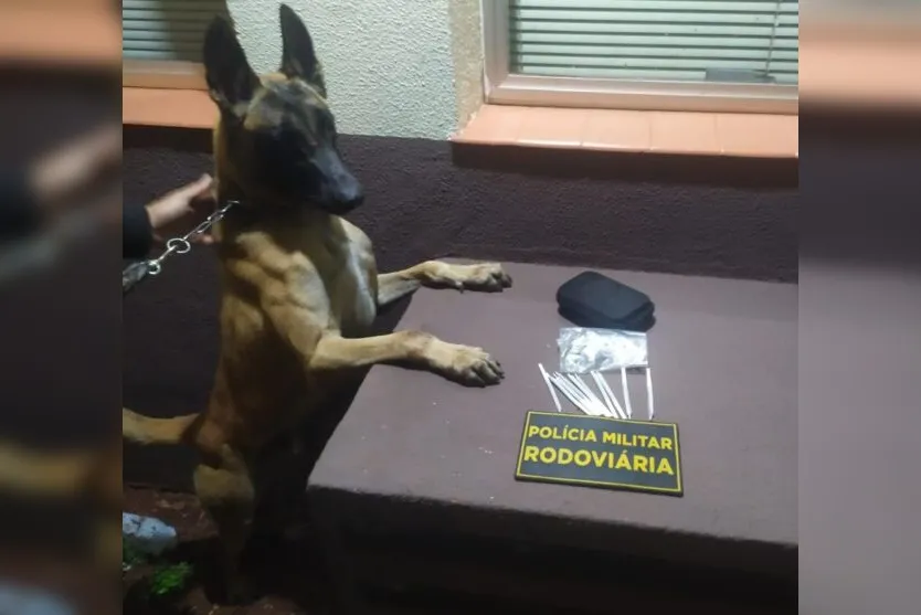  O cão indicou que em uma bolsa que estava embaixo dos pés de um dos passageiros poderia conter algo ilícito 