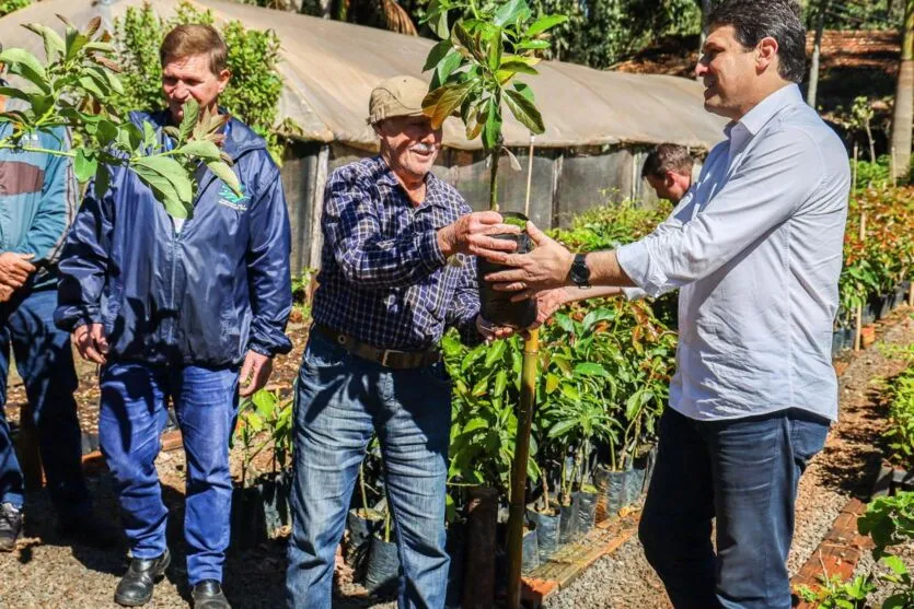  O objetivo do cultivo das mudas é a comercialização 