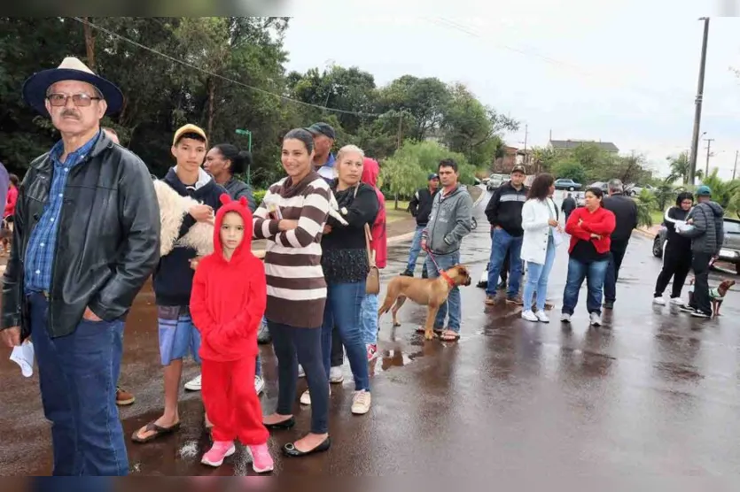 Prefeitura de Ivaiporã através do CastraPet castra 238 cães e gatos