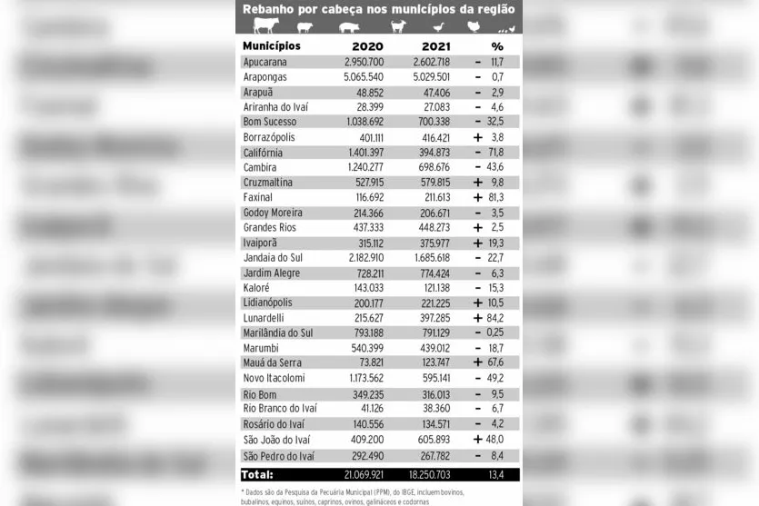 Rebanhos recuam 13,4% na região, mostra pesquisa do IBGE