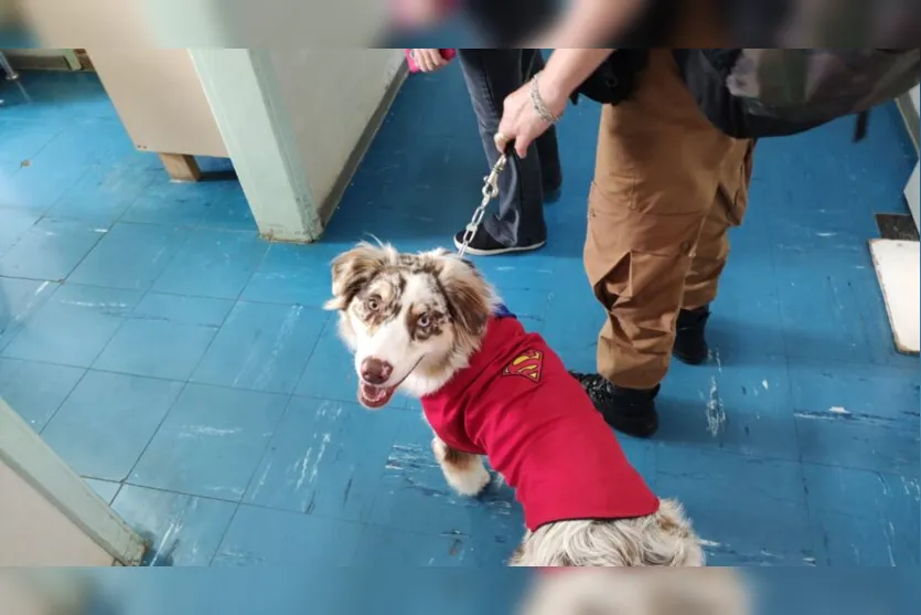  Além de um café da manhã com direito a bolo e pipoca, preparados pela Humanização do hospital e presentes doados com muito carinho especialmente para esse dia 