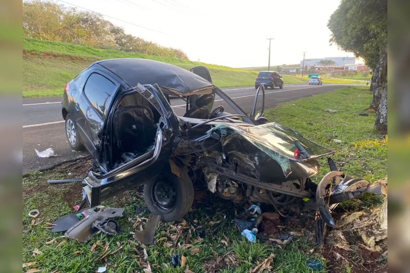  Carro saiu da pista e bateu de frente com uma árvore 