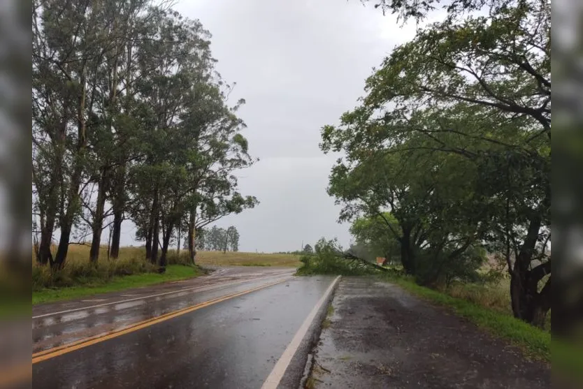 Chuva e vendaval provocam estragos na região de Ivaiporã; veja fotos