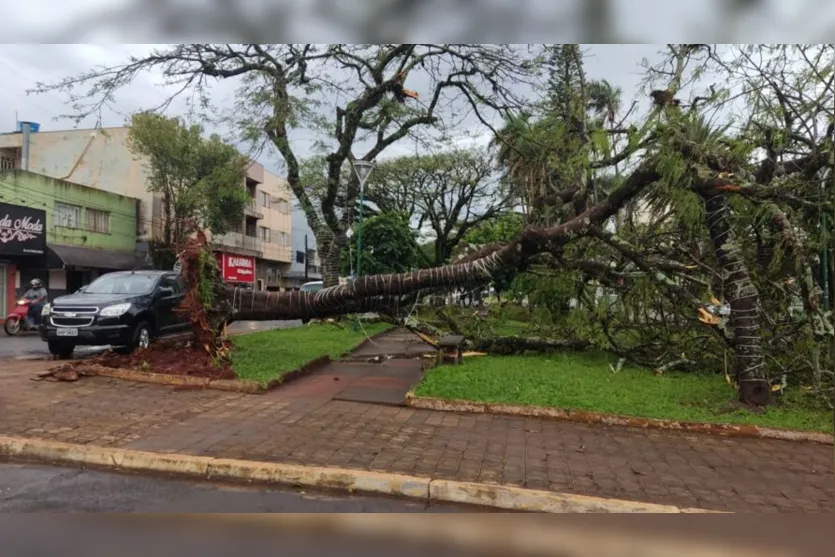 Chuva e vendaval provocam estragos na região de Ivaiporã; veja fotos