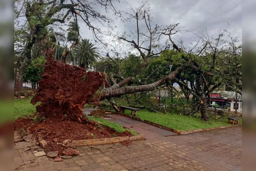 Chuva e vendaval provocam estragos na região de Ivaiporã; veja fotos