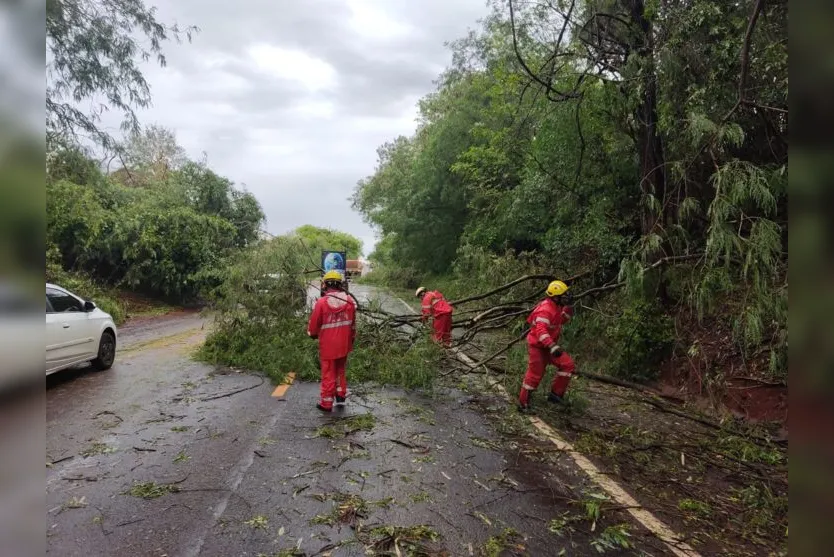 Chuva e vendaval provocam estragos na região de Ivaiporã; veja fotos