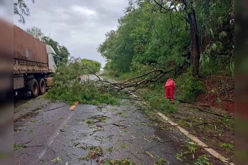 Chuva e vendaval provocam estragos na região de Ivaiporã; veja fotos