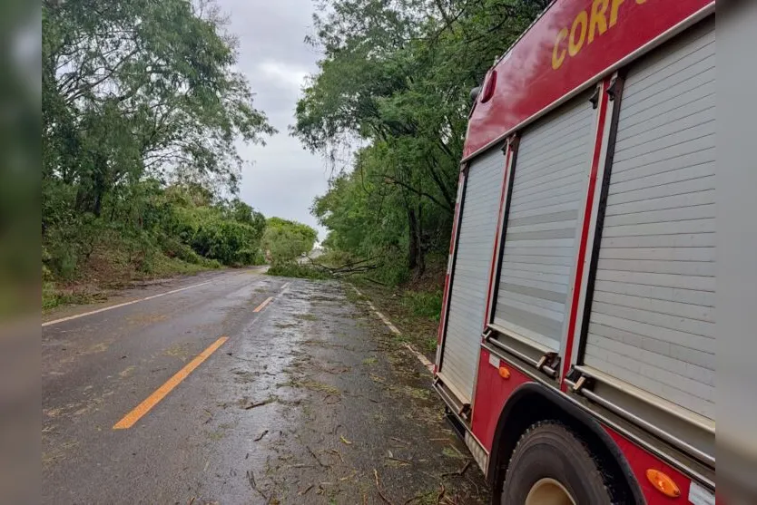 Chuva e vendaval provocam estragos na região de Ivaiporã; veja fotos