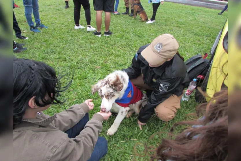  Deppy, Cão Amigo, esteve presente durante todo o evento 