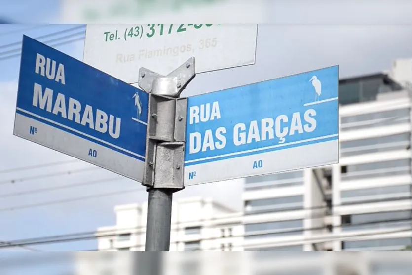  Lei de 1964 determinou obrigatoriedade de escolher espécies de pássaros para denominar ruas da cidade 