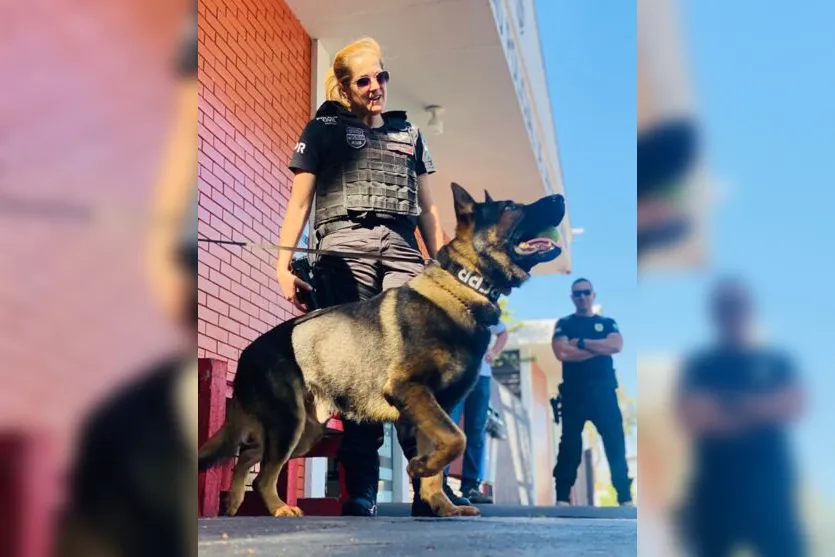  No total, de acordo com a polícia, eram três alvos 