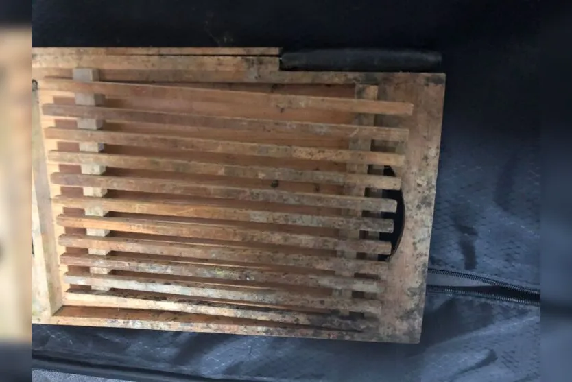  Objetos foram encontrados por um morador, que acionou a PM 