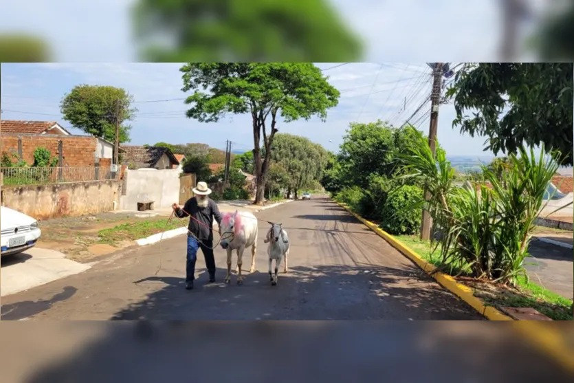  Quando pensamos em animais de estimação é comum vir à mente gatos, cachorros e até mesmo os peixes 