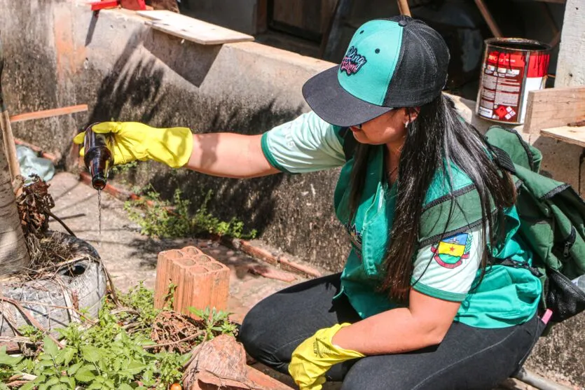 Apucarana prepara ações do 'Dia D' de combate ao Aedes Aegypti