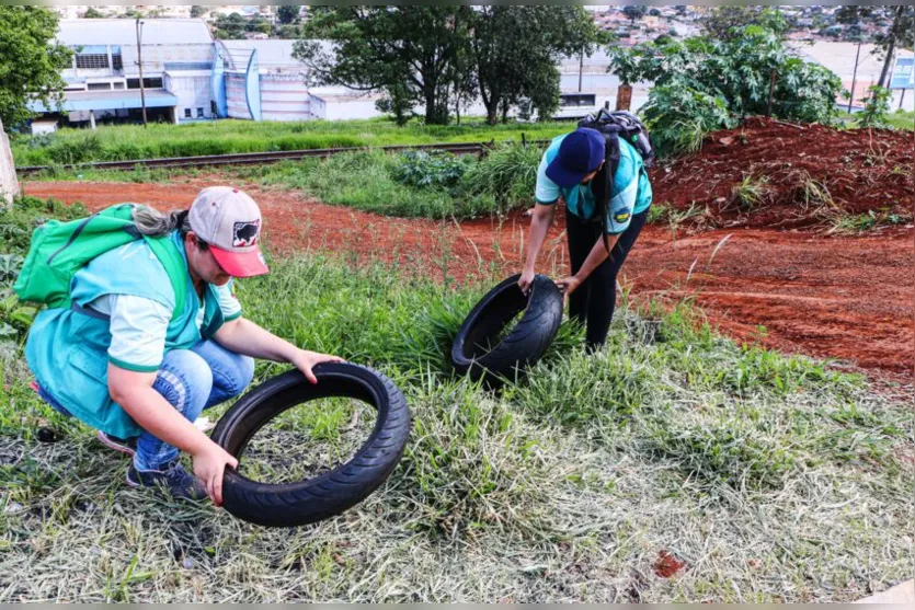 Apucarana prepara ações do 'Dia D' de combate ao Aedes Aegypti