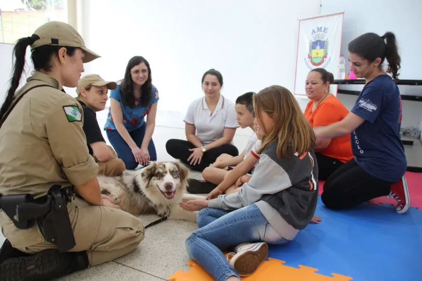 Cão terapeuta visita rede municipal de educação de Apucarana